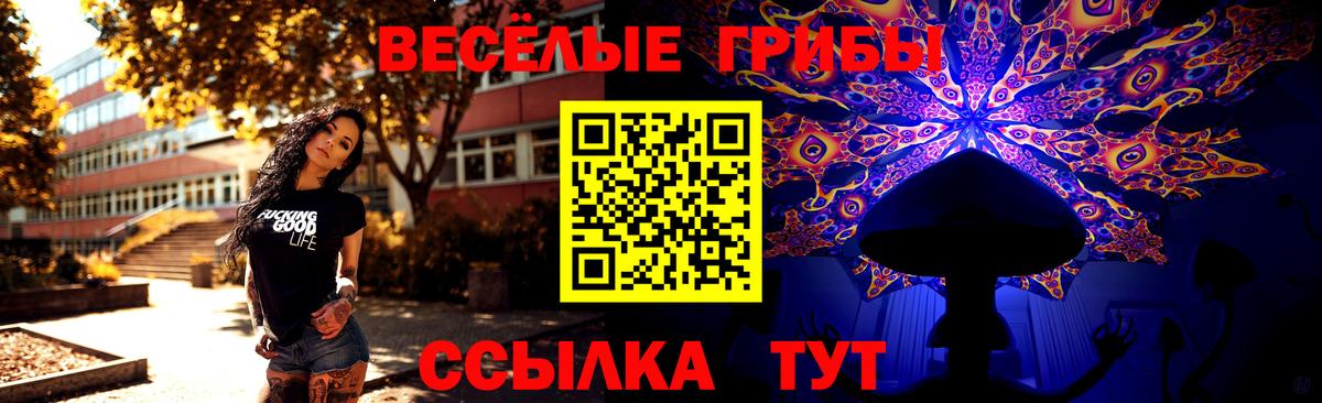 Галлюциногенные грибы Psilocybe Советск